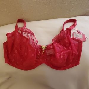 NWT Pink Curvy Kate Dreamcatcher Balcony bra, 40G